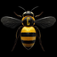 Cristian TNBE icon