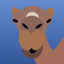 Camel Value Calculator icon