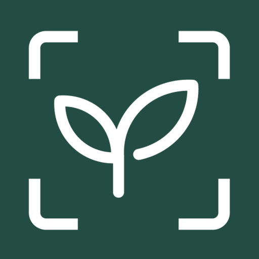 MagicScout app icon