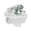 Nail.Couleur icon