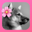 Crofile: Upgrade your Profile icon