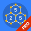 Slitherlink - Pro icon