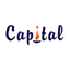 Capital Investment icon