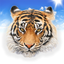 Amazing Animal Sounds icon
