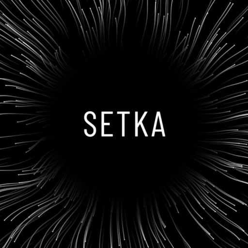 SETKA: digital vitamin app icon