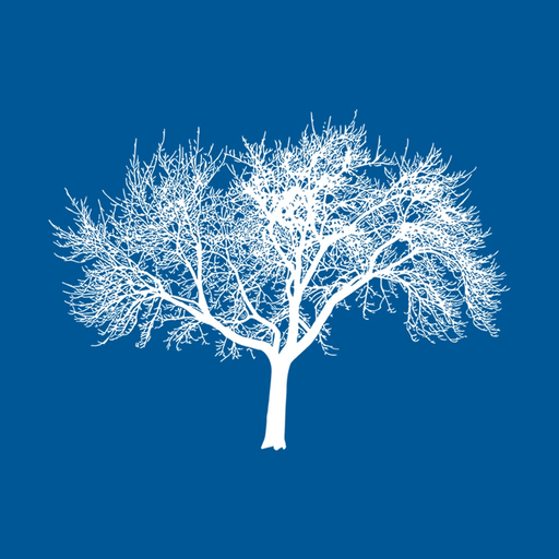 Eldermark POC 2 app icon