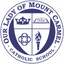 Our Lady of Mount Carmel Sch icon