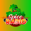 Tropical Spice Radio icon