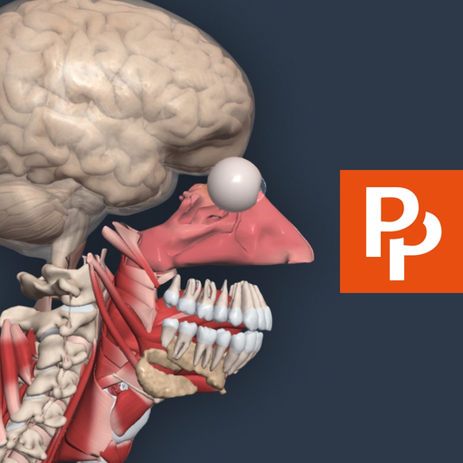 Primal's 3D Human Anatomy Quiz app icon