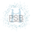 PSB Expertises icon