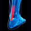 Etude Tendon icon