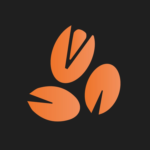 DutchNuts app icon