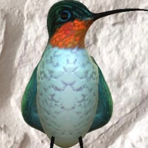 HelenaHummingbirdAR app icon