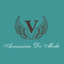 VALSA icon