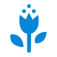 Flowers75 |Чита icon