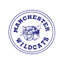 Manchester Elementary School icon