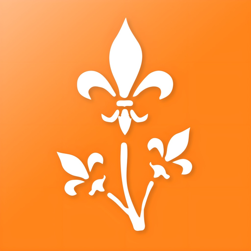 Wiesbaden 2go app icon