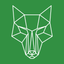 ShapeShifterzz icon
