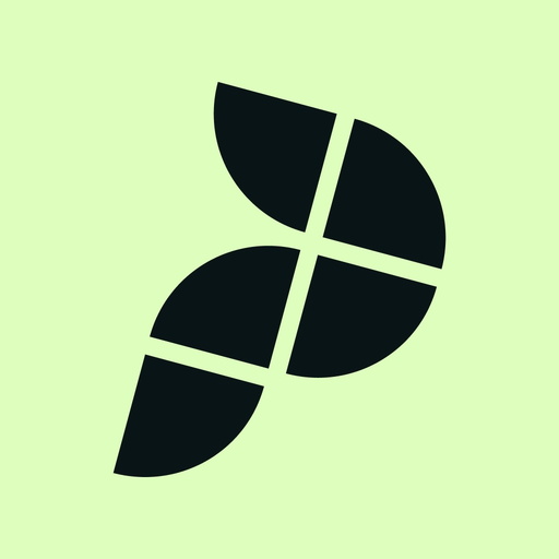 Playbypoint app icon
