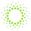 Geyser Gecko icon