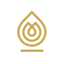 HAIRMASTER SPA icon