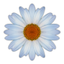 TASBillerCloud Daisy icon