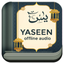 Surah Yaseen Offline Audio icon