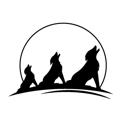 City View Charter School app icon