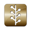 Transparent Teleprompter icon
