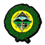Pleasant Mount School icon