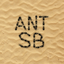 Ant Sandbox icon