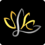SLK Bullion icon