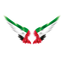 Emirates Angels icon
