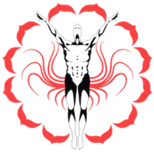 AAdiStudio app icon