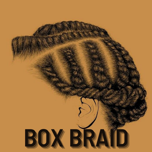 Knotless Box Braids Hairstyles app icon