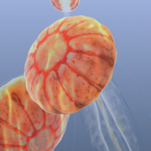 Jellyfish Chrysaora app icon