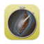 Chronolyzer icon