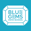 Blue Gems Swim School icon