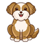 Petboo icon