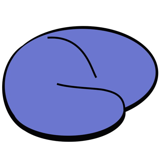 MRIcro view app icon