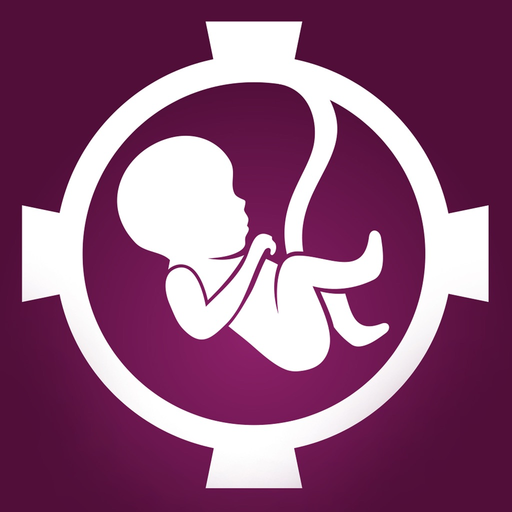 Army for Life app icon