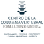 Centro de la Columna Vertebral icon
