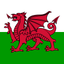 Welsh Trainer icon