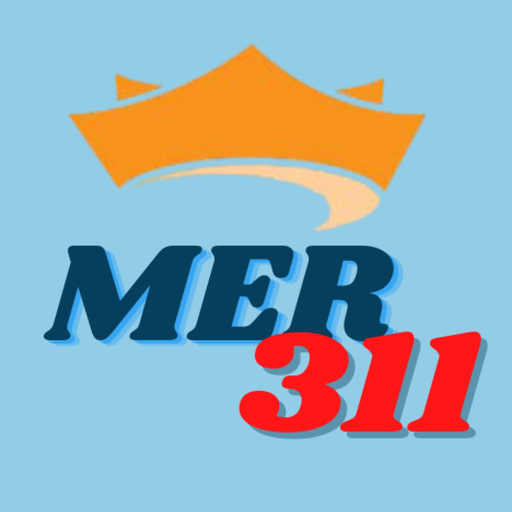 Mercedes 311 app icon