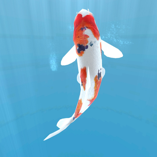 Koi - Aquarium app icon