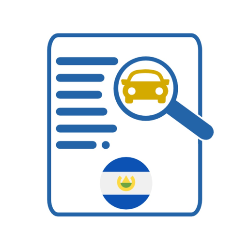 Consulta Información vehículo app icon