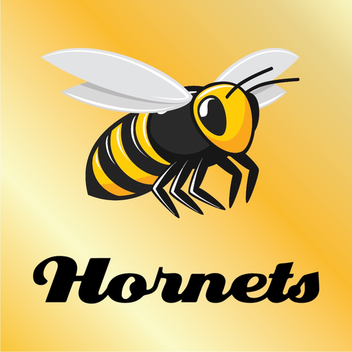 Aspley Hornets Football Club app icon