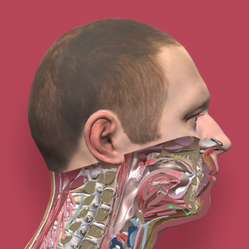 Pirogov Anatomy app icon