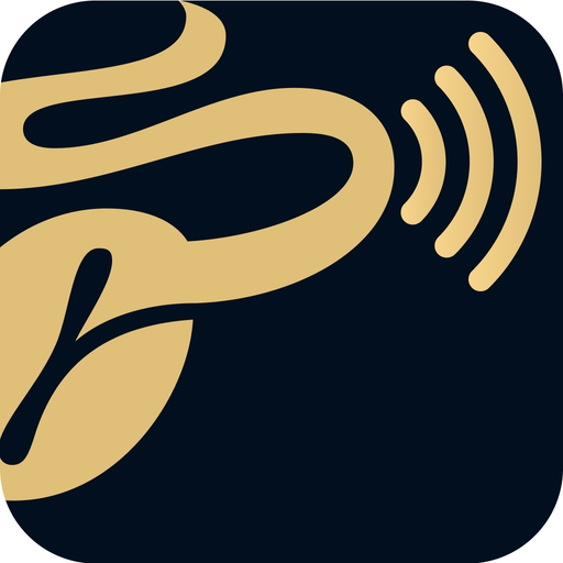 WLAN to go app icon