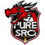 PureSRO - Private SRO Server icon